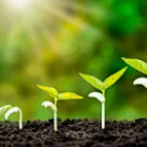 ¿Cómo elegir sensores de CE del suelo adecuados para aplicaciones agrícolas?