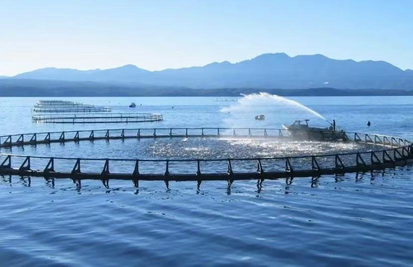 De los ríos a las centrales hidroeléctricas: el papel clave de los sensores de calidad del agua en la gestión inteligente del agua